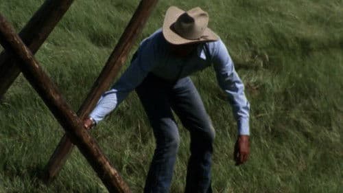 Standing Alone Bild 4