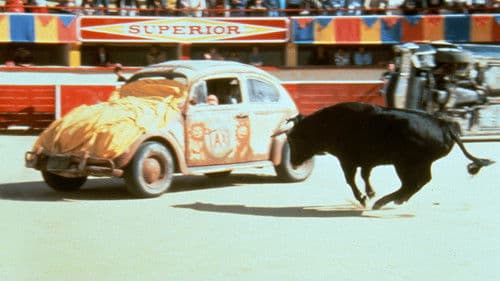 Herbie dreht durch Bild 6