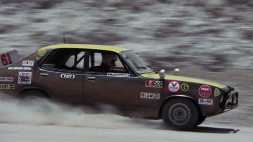 Checkered Flag or Crash Bild 2