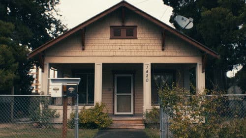 Jimi Could Have Fallen from the Sky Bild 3