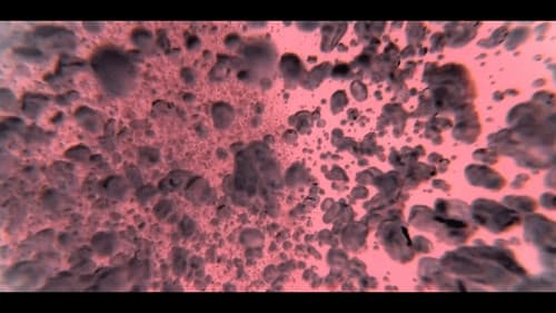 My Blood Flows Like Acid Bild 3