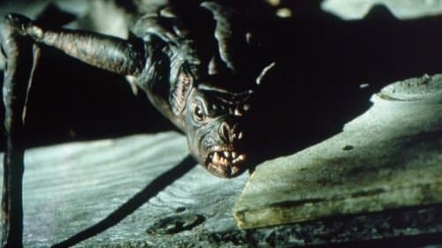 Bats - Fliegende Teufel Bild 1