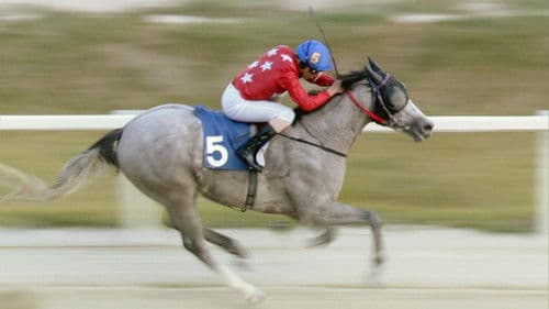 웃는 기수 Bild 2