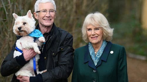 For the Love of Dogs Bild 4