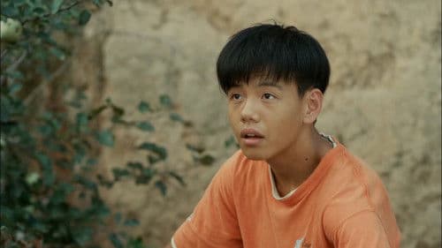 Chinese Prickly Ash Red Bild 3