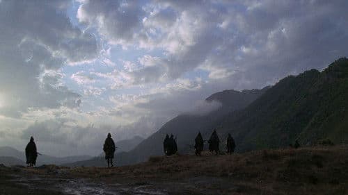 Im Visier des Falken Bild 3