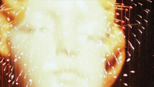 Looking for Mushrooms Bild 2