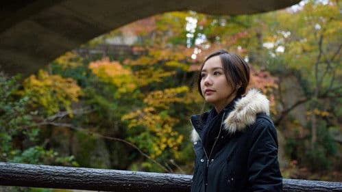 รักแท้...แพ้แรงดึงดูด Bild 2