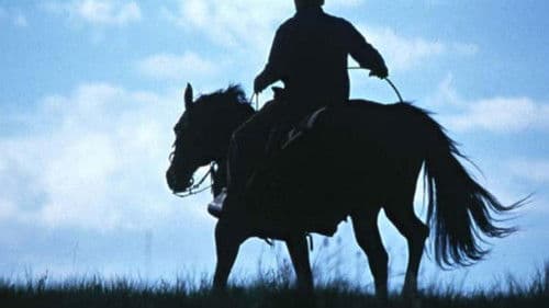 Der Pferdeflüsterer Bild 7