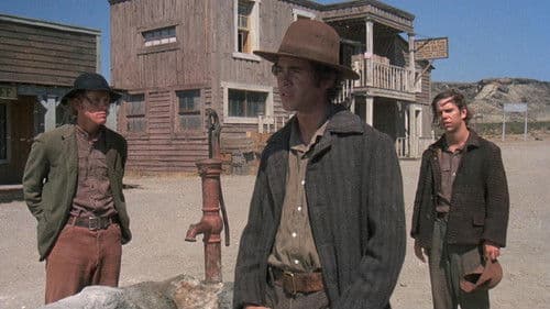 Vier Vögel am Galgen Bild 7