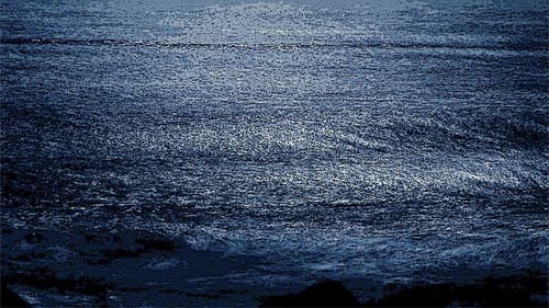 We Put the World to Sleep Bild 5