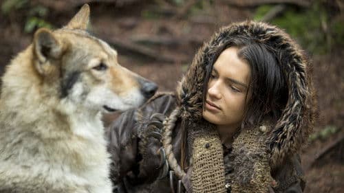 Alpha - Der den Wolf zähmt Bild 7