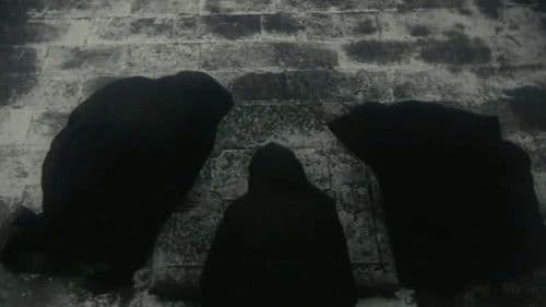 Sunt lacrimae rerum Bild 1