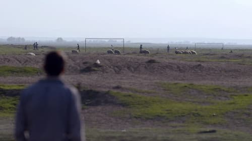 Qaranlıqdan reportaj Bild 1