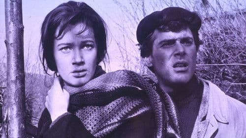 Un giorno da leoni Bild 2