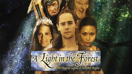 A Light in the Forest Bild 4