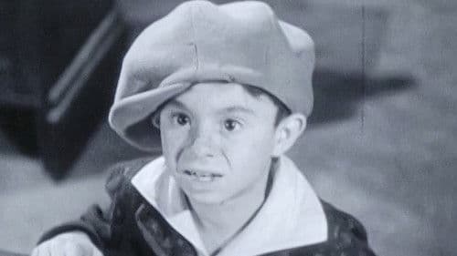 Kelly the Second Bild 1