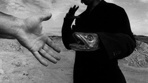 Une minute pour une image Bild 1