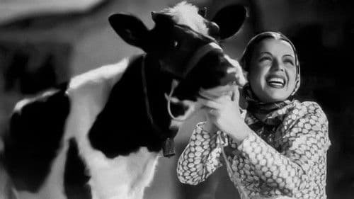 Aldeia da Roupa Branca Bild 5