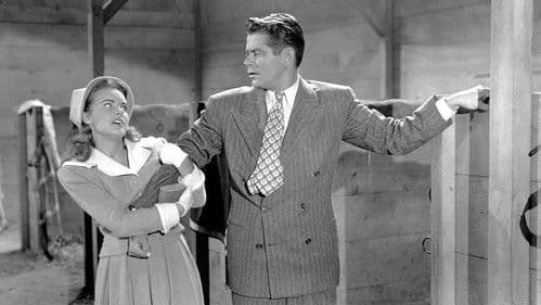 Ein Pferd namens October Bild 1