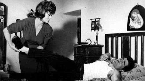 Bianco, rosso, giallo, rosa Bild 3