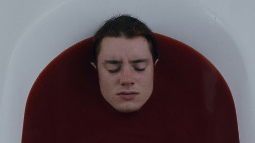 The Candy Witch Bild 3