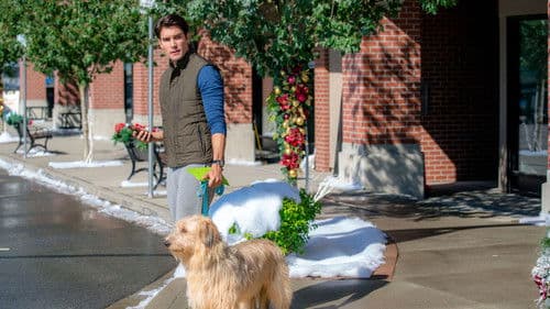 Ein unvergessliches Weihnachtsgeschenk Bild 8