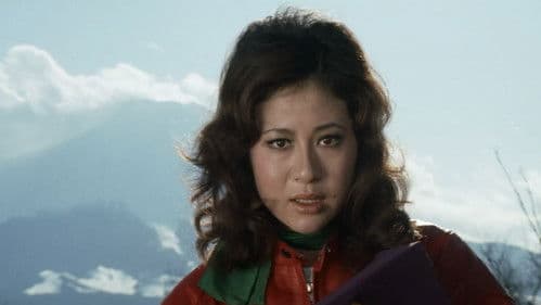 不良番長 のら犬機動隊 Bild 3