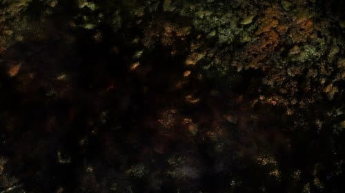 Ancient Bodies: Secrets Revealed Bild 4