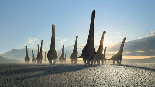 Ein Planet vor unserer Zeit Bild 4