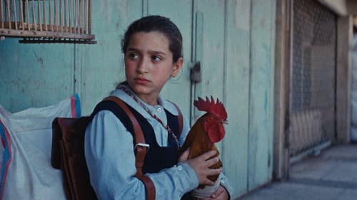 Ein Kuchen für den Präsidenten Bild 3