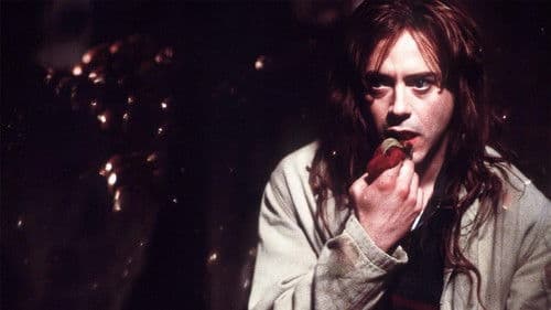 Jenseits der Träume Bild 7