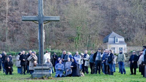 Wonderbroeders Bild 4