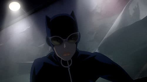 DC Showcase: Catwoman Bild 1