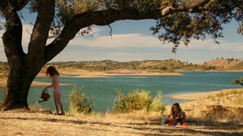 Brennende Sonne Bild 8