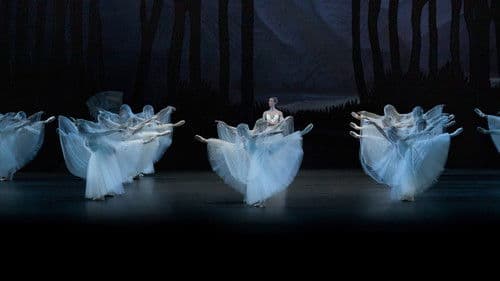 Giselle: Ballet in Cinema Bild 2