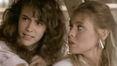 Driving Academy Bild 3