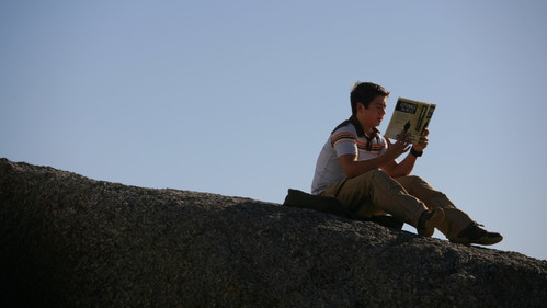 Die drei ??? – Das verfluchte Schloss Bild 4