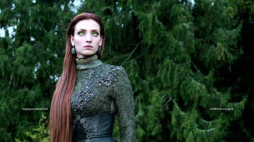 Пока цветёт папоротник Bild 1