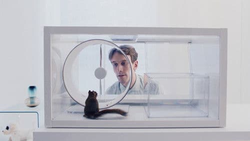 Das Eichhörnchen Bild 3