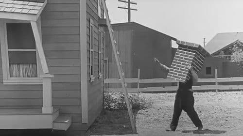 Flitterwochen im Fertighaus Bild 8