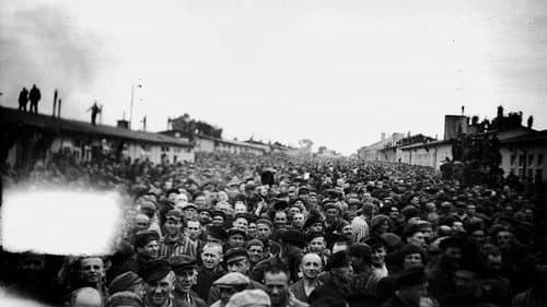 KZ Mauthausen. Von Fotografen, Häftlingen, Henkern Bild 2