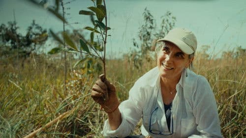 Retten Bäume den Planeten Bild 2