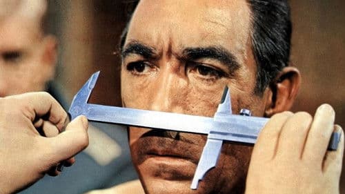 Die 25. Stunde Bild 2