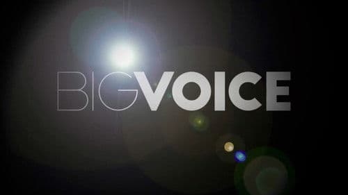 Big Voice Bild 1