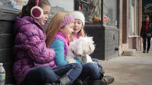 Das Weihnachtsschloss Bild 5