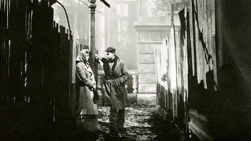 They Drive by Night Bild 1