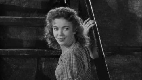 Nacht im Hafen Bild 7