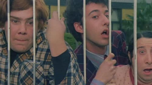 Die Bumsköpfe Bild 1