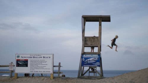 Nach dem Biss: Die Folgen eines Haiangriffs Bild 3